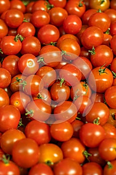 Healthy tomatoes background. bright red ripe cherry tomatoes