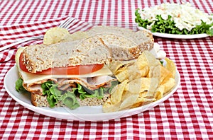 Healthy Turkey Sandwich on Whole Grain Bread