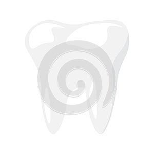 Healthy Undamaged Tooth Icon Baby Molar photo
