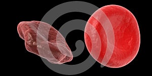 healthy and unhealthy blood cell