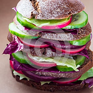 Healthy vegan sandwich with fresh vegetables
