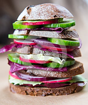 Healthy vegan sandwich with fresh vegetables