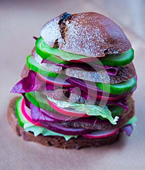 Healthy vegan sandwich with fresh vegetables