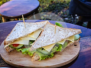 Healthy vegan whole gain sandwiches