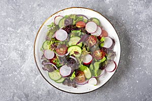 Healthy vegetable salad of cherry tomatoes, cucumber slices, green and purple lettuce leaves, radish, onions, olive oil in plate o