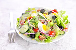 healthy vegetable salad with fresh lettuce