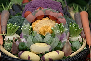 Healthy vegetables selection