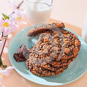 Healthy vegetarian cereal oats food, sweet dessert, snacks, culinary products. Oatmeal cookies, with chocolate, with milk for