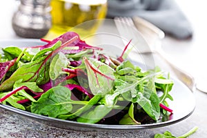 Healthy vegetarian dish, leafy salad with fresh chard, arugula, spinach and lettuce. Italian mix