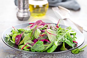 Healthy vegetarian dish, leafy salad with fresh chard, arugula, spinach and lettuce. Italian mix