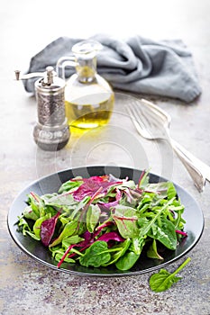 Healthy vegetarian dish, leafy salad with fresh chard, arugula, spinach and lettuce. Italian mix