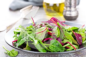 Healthy vegetarian dish, leafy salad with fresh chard, arugula, spinach and lettuce. Italian mix