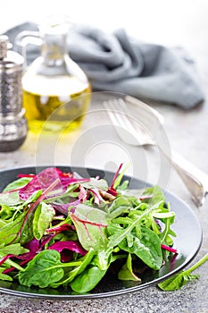 Healthy vegetarian dish, leafy salad with fresh chard, arugula, spinach and lettuce. Italian mix