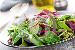 Healthy vegetarian dish, leafy salad with fresh chard, arugula, spinach and lettuce. Italian mix