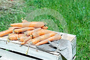 Healthy vegetarian food. Fresh carrots harvest on wooden box in grass outdoor, organic vegetables in garden
