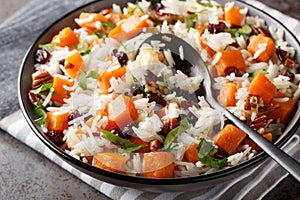 Healthy vegetarian pilaf with sweet potatoes, pecans, onions and dried cranberries close-up in a bowl. Horizontal