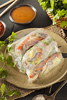 Healthy Vegetarian Spring Rolls