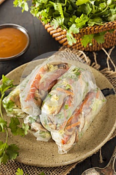 Healthy Vegetarian Spring Rolls