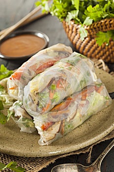 Healthy Vegetarian Spring Rolls