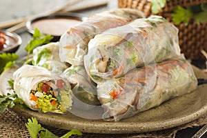 Healthy Vegetarian Spring Rolls