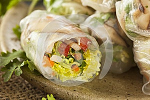 Healthy Vegetarian Spring Rolls