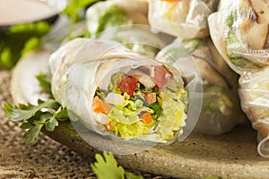 Healthy Vegetarian Spring Rolls