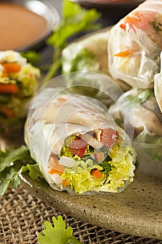 Healthy Vegetarian Spring Rolls