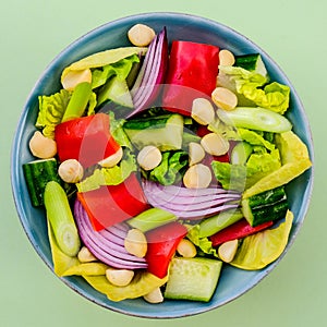 Healthy Vegetarian or Vegan Macadamia Nut Salad