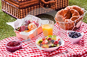 Healthy vegetarian or vegan picnic