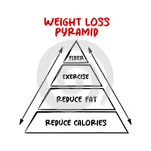 Healthy Weight Loss Pyramid, cheat sheet for your general eating guidelines, mind map concept for presentations and reports