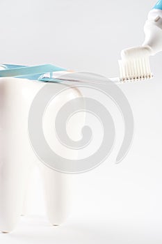Healthy white tooth model and toothbrush with toothpaste