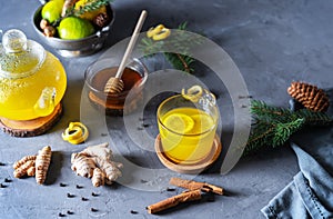 Healthy winter beverage with ginger, turmeric, cinnamon stick, lemon, honey and black pepper. Decorated with pins