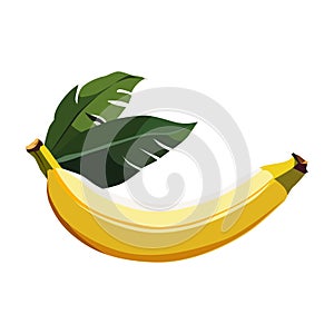 Healthy yellow banana with leaves. Isolated vector fruit in flat style. Summer clipart for design