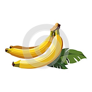 Healthy yellow bananas with leaves. Isolated vector fruit in flat style. Summer clipart for design