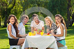 Healthy young teenagers enjoying a summer picnic