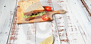 Healty Tuna wholegrain bread sandwich