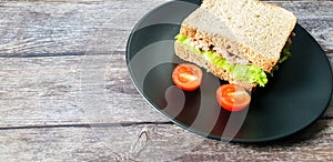 Healty Tuna wholegrain bread sandwich