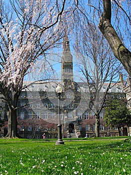 Healy Hall - Georgetown University