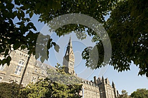 Healy Hall through trees