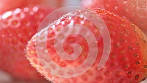 Heap of amazing freshness big red strawberries extreme close-up macro