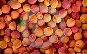 Heap of apricots and one green leaf, view from above