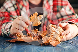 Heap of autumn leaf in hands photo