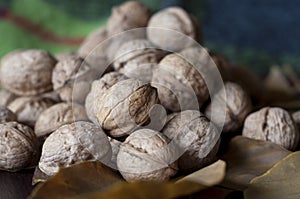 A heap of walnuts on a leaf