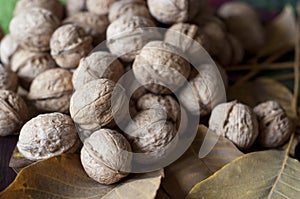 A heap of walnuts on a leaf