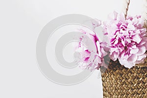 Heap of beautiful fresh pink peony flowers in full bloom in straw bag on white background.