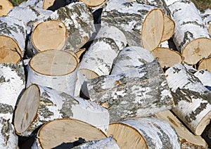 Heap of birch firewood