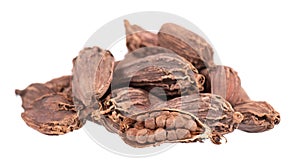 Heap of black cardamom pods isolated on white background. Black cardamon seeds. Clipping path.