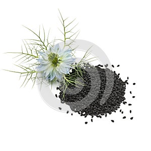 Heap of black nigella seeds and flower