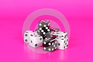 Black and white dices in the pink studio