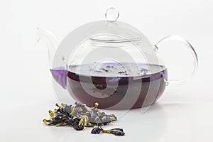 Heap of blue butterfly pea flowers and a glass teapot with brewing tisane